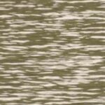 South African, 30, Drowns In Vermont Lake